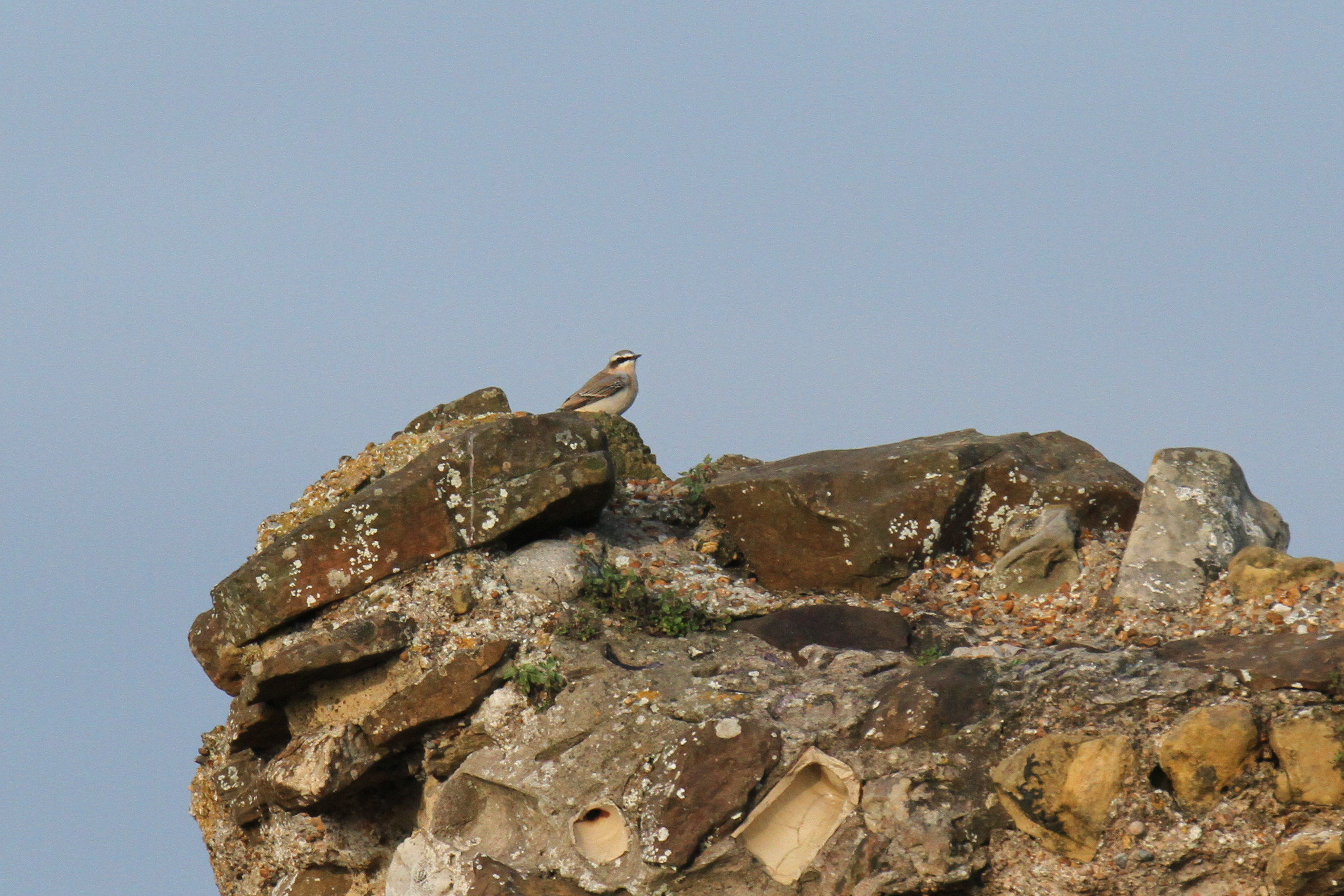 Migrant fall on West Hill, Hastings, 25 August 2023